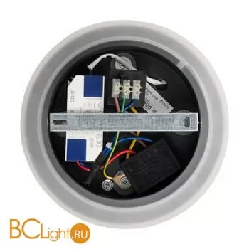 Настенный светильник (бра) Freya FR6002WL-L13B - Фото 8