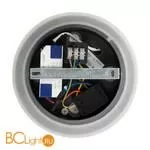 Настенный светильник (бра) Freya FR6002WL-L13B - Фото 8