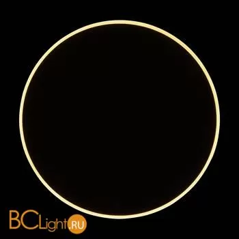 Настенный светильник (бра) Freya FR6002WL-L20B - Фото 18