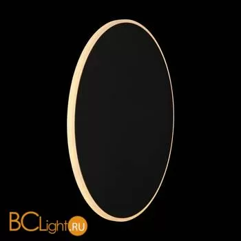 Настенный светильник (бра) Freya FR6002WL-L20B - Фото 20