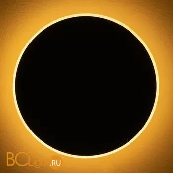 Настенный светильник (бра) Freya FR6002WL-L20B - Фото 21