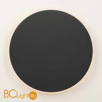 Настенный светильник (бра) Freya FR6002WL-L20B - Фото 5