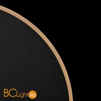 Настенный светильник (бра) Freya FR6002WL-L20B - Фото 14