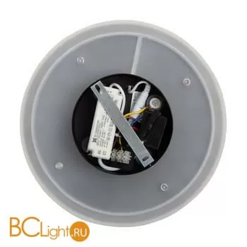 Настенный светильник (бра) Freya FR6002WL-L20B - Фото 9