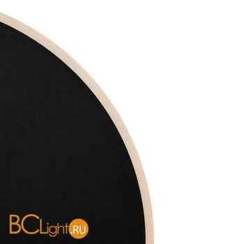 Настенный светильник (бра) Freya FR6002WL-L20B - Фото 10