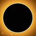 Настенный светильник (бра) Freya FR6002WL-L20B - Фото 21