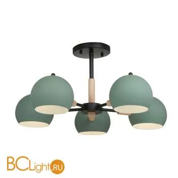 Потолочная люстра Freya Trisha FR5032CL-05B