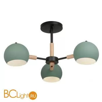 Потолочная люстра Freya Trisha FR5032CL-03B