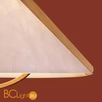 Потолочный светильник Freya Umbra FR5554CL-01T - Фото 8