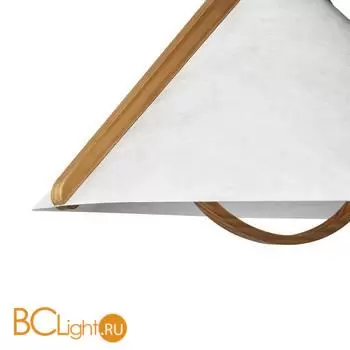 Потолочный светильник Freya Umbra FR5554CL-01T - Фото 2