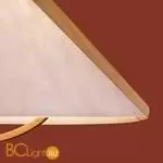 Потолочный светильник Freya Umbra FR5554CL-01T - Фото 8