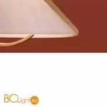 Потолочный светильник Freya Umbra FR5554CL-01T - Фото 12