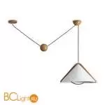 Потолочный светильник Freya Umbra FR5554CL-01T - Фото 1