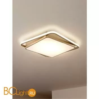 Потолочный светильник Freya Yaku FR10026CL-L93G