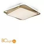 Потолочный светильник Freya Yaku FR10026CL-L93G - Фото 1