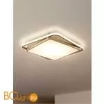 Потолочный светильник Freya Yaku FR10026CL-L93G