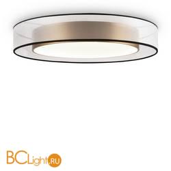 Потолочный светильник Freya Zoticus FR6005CL-L48G