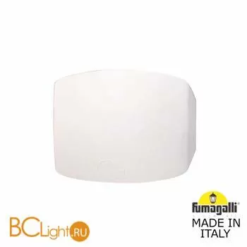 Уличный настенный светильник Fumagalli Abram AB1.000.000.WXJ1L
