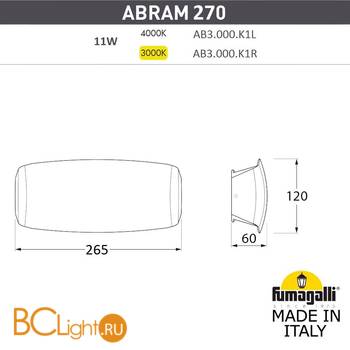 Уличный настенный светильник Fumagalli Abram AB3.000.000.LXP1L - Схема