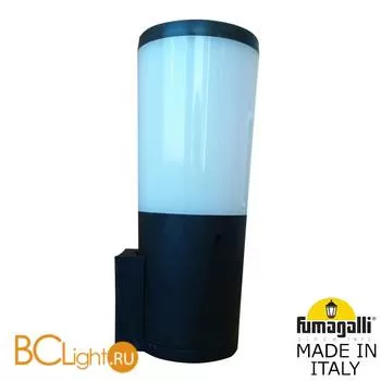 Уличный настенный светильник Fumagalli Amelia DR2.570.000.AYF1R