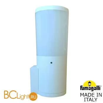 Уличный настенный светильник Fumagalli Amelia DR2.570.000.WYF1R