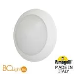 Уличный настенный светильник Fumagalli Bertina 1B1.000.000.WYD1L