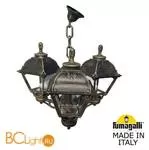 Уличный подвесной светильник Fumagalli Cefa U23.120.S30.BXF1R