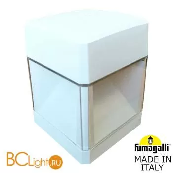 Уличный настенный светильник Fumagalli Elisa DS2.560.000.WXD1L