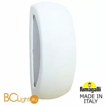 Уличный настенный светильник Fumagalli Francy 1A1.000.000.WYF1R