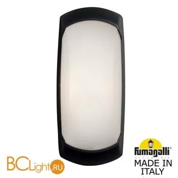Уличный настенный светильник Fumagalli Francy 2A1.000.000.AYF1R