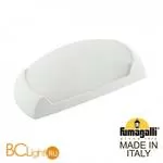 Уличный настенный светильник Fumagalli Francy 2A1.000.000.WYF1R