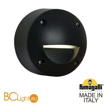 Уличный настенный светильник Fumagalli Leti 2S4.000.000.AYG1L