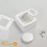 Уличный настенный светильник Fumagalli Leti 3S1.000.000.WYG1L - Фото 0