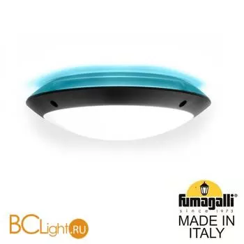 Уличный настенный светильник Fumagalli Lucia 1R3.000.000.AYE27.BU1