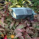 Садово-парковый фонарь Garden Zone Bronze GZ/BRONZE4 + GZ/BRNZE POLE B