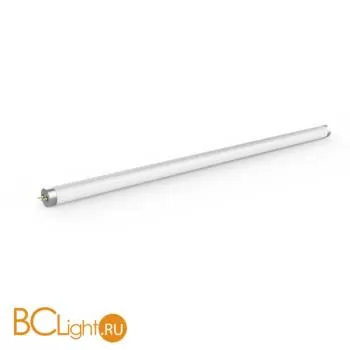 Лампа Gauss LED Elementary T8 Glass 600mm G13 10W 780lm 4000K 93020