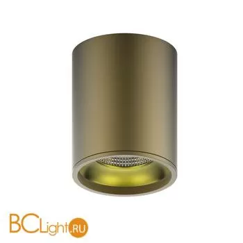 Потолочный светильник Gauss Overhead HD001