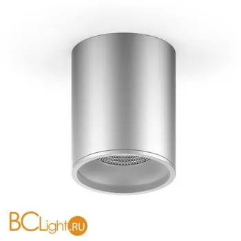 Потолочный светильник Gauss Overhead HD003