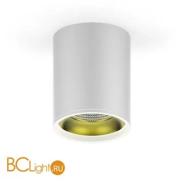 Потолочный светильник Gauss Overhead HD010