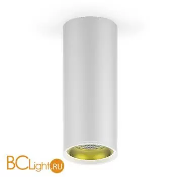 Потолочный светильник Gauss Overhead HD012