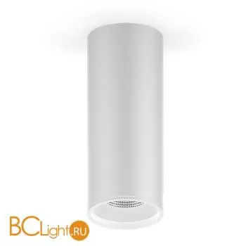 Потолочный светильник Gauss Overhead HD013