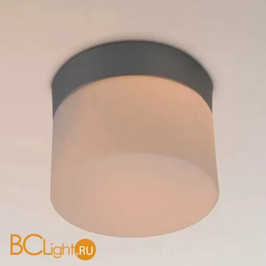 Настенно-потолочный светильник Globo Vranos 32114