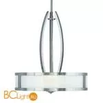 Подвесной светильник Hinkley Meridian HK/MERIDIAN/P