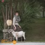 Садово-парковый фонарь Hinkley Montreal HK/MONTREAL3 - Фото 0