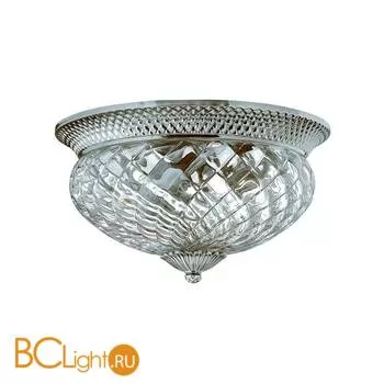 Потолочный светильник Hinkley Plant HK/PLANT/F/S PL