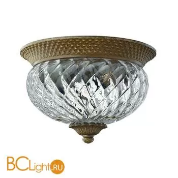 Потолочный светильник Hinkley Plant HK/PLANT/F/S PZ