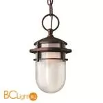 Уличный подвесной светильник Hinkley Reef HK/REEF8 VZ