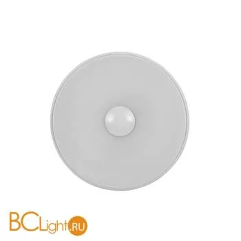 Настенно-потолочный светильник Ideal Lux Audi 51 PL1 D37 Bianco 026947