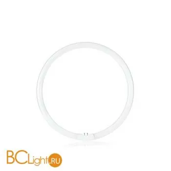 Лампа Ideal Lux G10Q T5 32W 220V 2350lm 4000K 031125