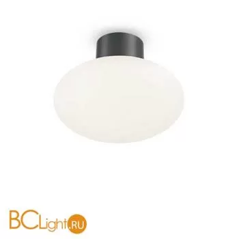 Уличный потолочный светильник Ideal Lux CLIO MPL1 ANTRACITE 148861